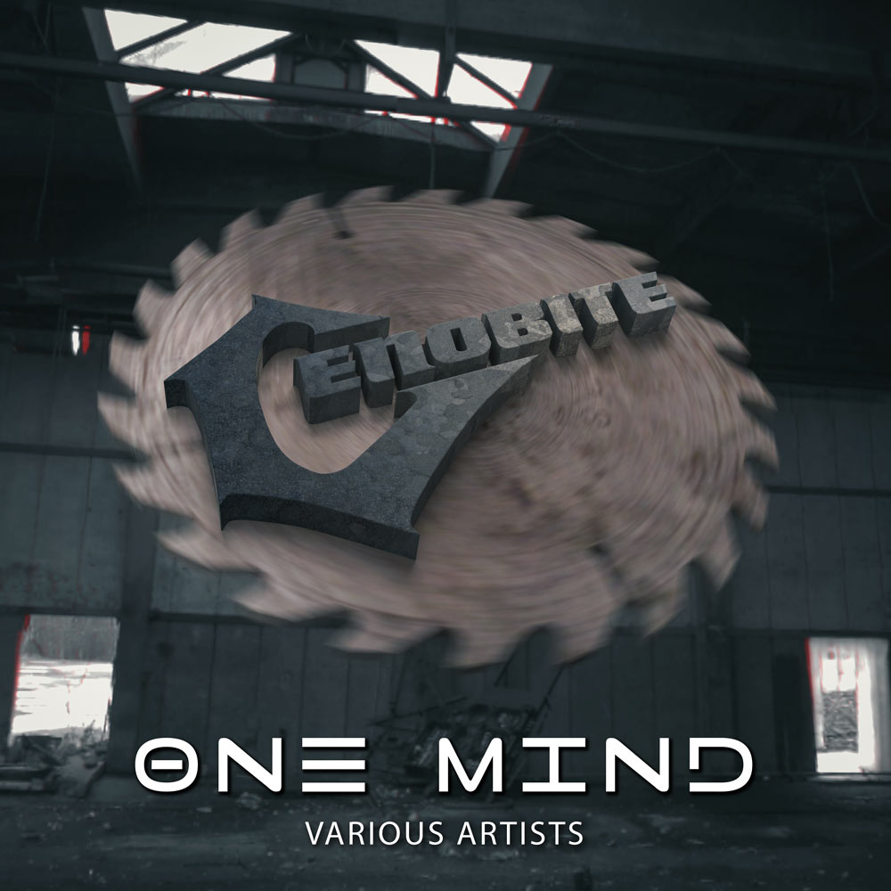 vinyl one mind